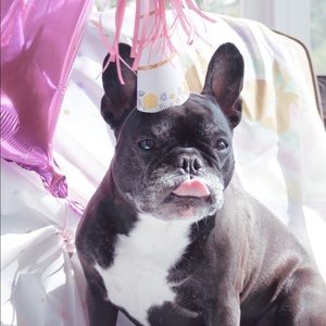 Meet your Posher, Christine